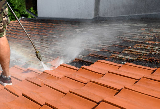 Best Pressure Washing Services for Businesses  in Mount Carroll, IL