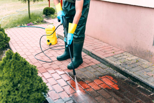 Pressure Washing Services for Businesses in Mount Carroll, IL