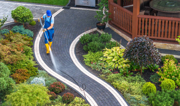 Best Concrete Pressure Washing  in Mount Carroll, IL
