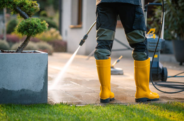 Mount Carroll, IL Pressure Washing Pros